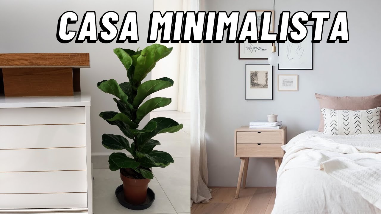 CASA MINIMALISTA: DICAS SIMPLES PARA TRANSFORMAR SUA CASA