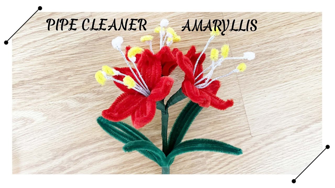 DIY Red Amaryllis Flowers with Pipe Cleaners - Easy Craft Tutorial