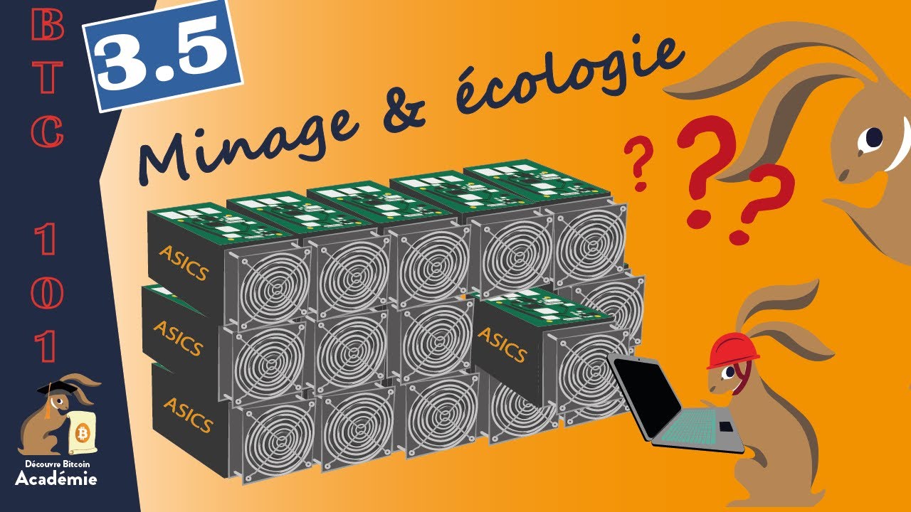 Le d&eacute;bat &eacute;cologique - chapitre 3.5 [BTC 101]