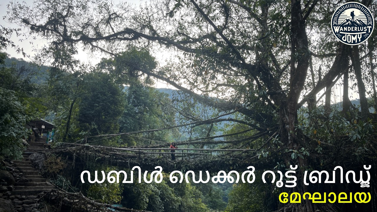 ഡബിൾ ഡെക്കർ റൂട്ട് ബ്രിഡ്ജ് | Root Bridges Meghalaya | Tyrna Trek | Meghalaya