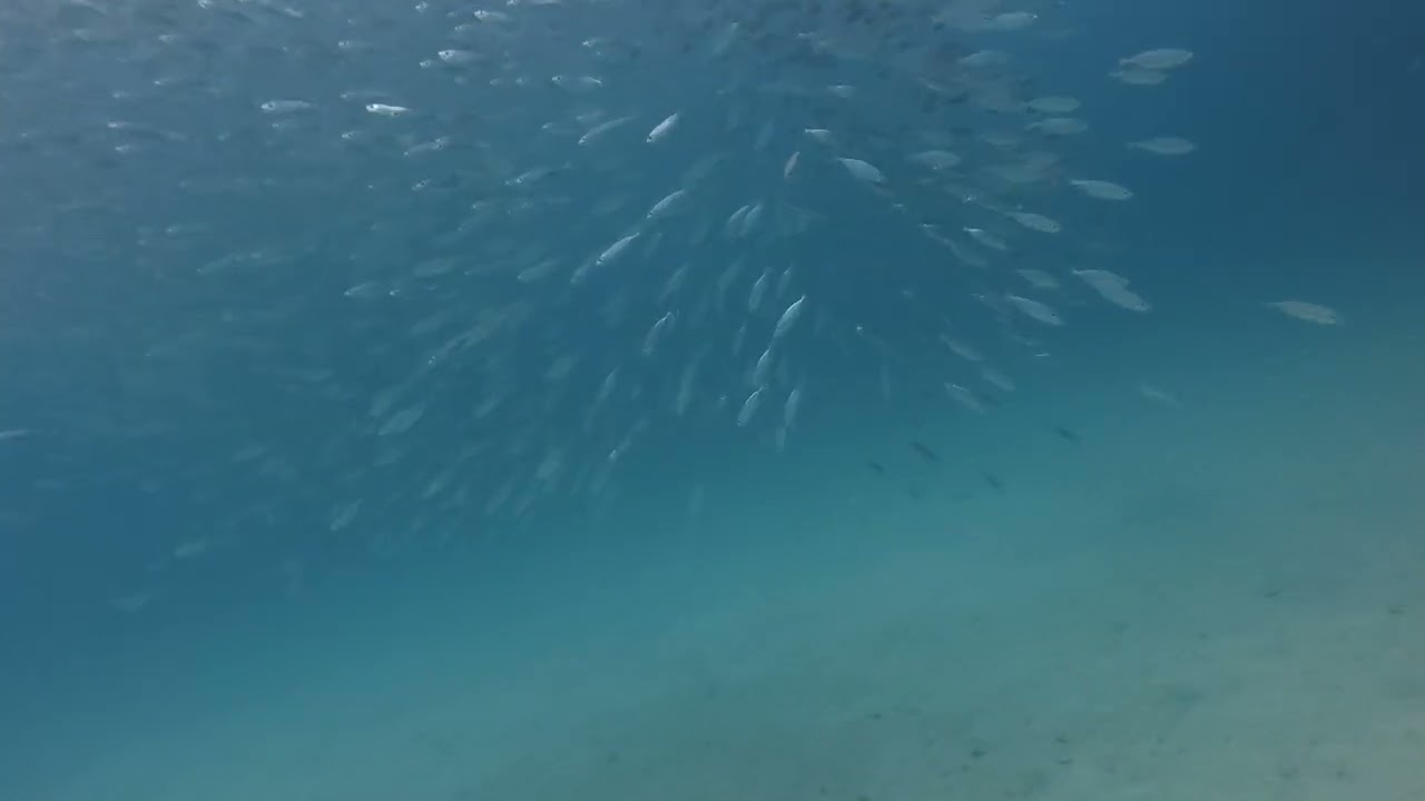 DJI 20260101101634 0005 D