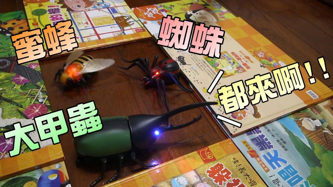 玩具開箱！巨大甲蟲蟲對戰遙控蜘蛛！大嘴嘴