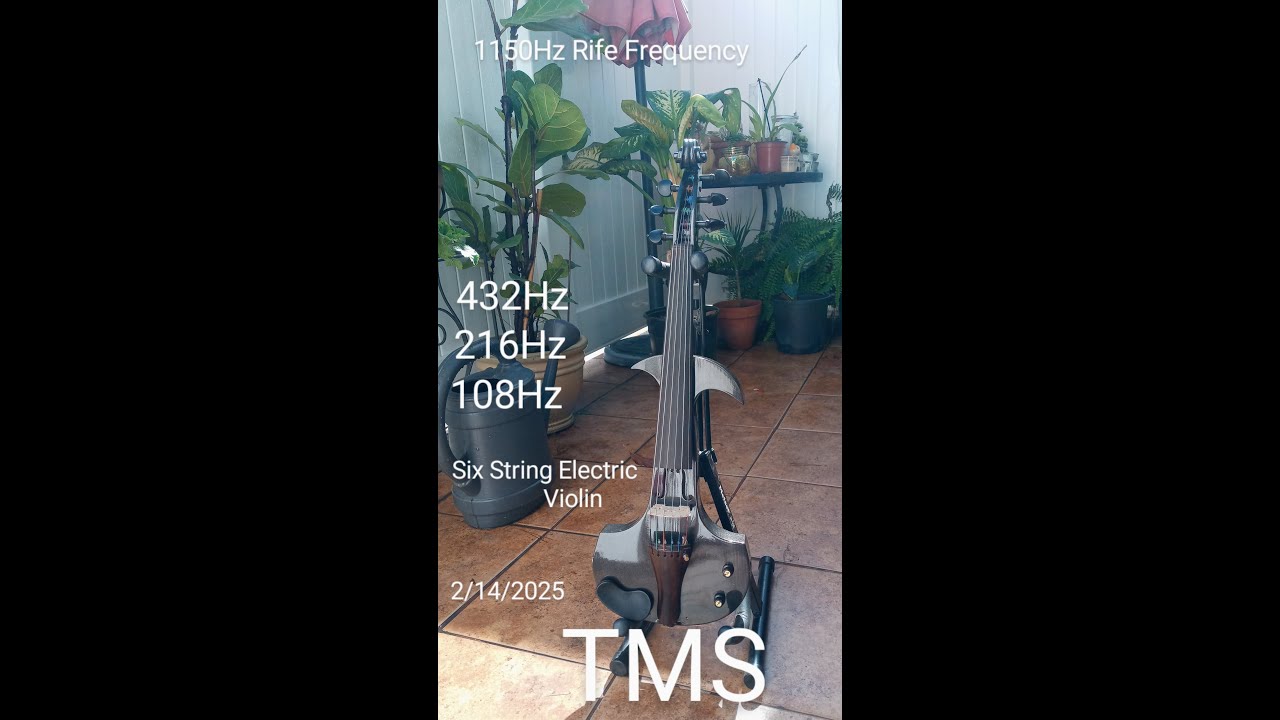 Meditation Healing1150Hz Rife Frequency Parasite Flush 432Hz String Electric Violin Tom Sender
