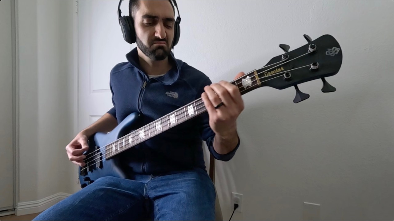 Alice In Chains - It Ain't Like That (Bass Cover)