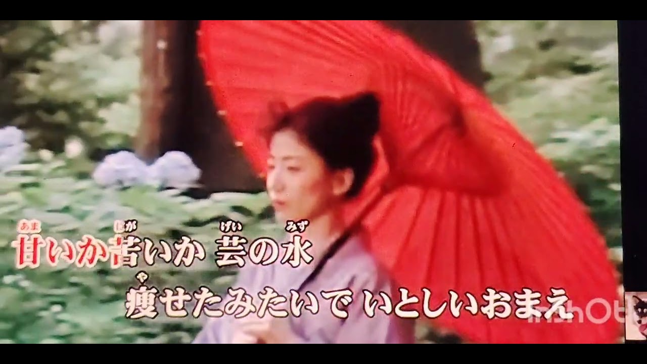 金魚のおまえ　作詞　八代みどり　作編曲　市川龍之介　Cover　宮