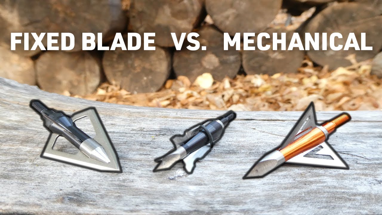 FIXED BLADE VS. MECHANICAL Broadheads || Which is best?