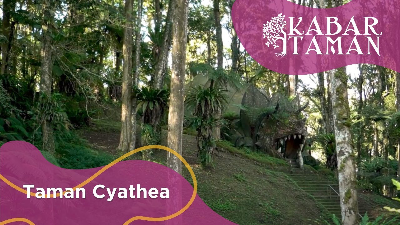 Kebun Raya Bali : Kabar Taman - Taman Cyathea