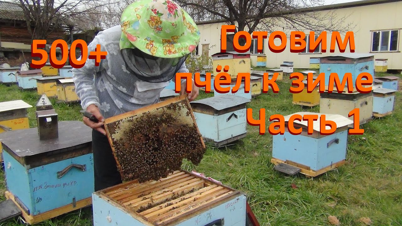 500+ Факторы влияющие на качество зимовки.