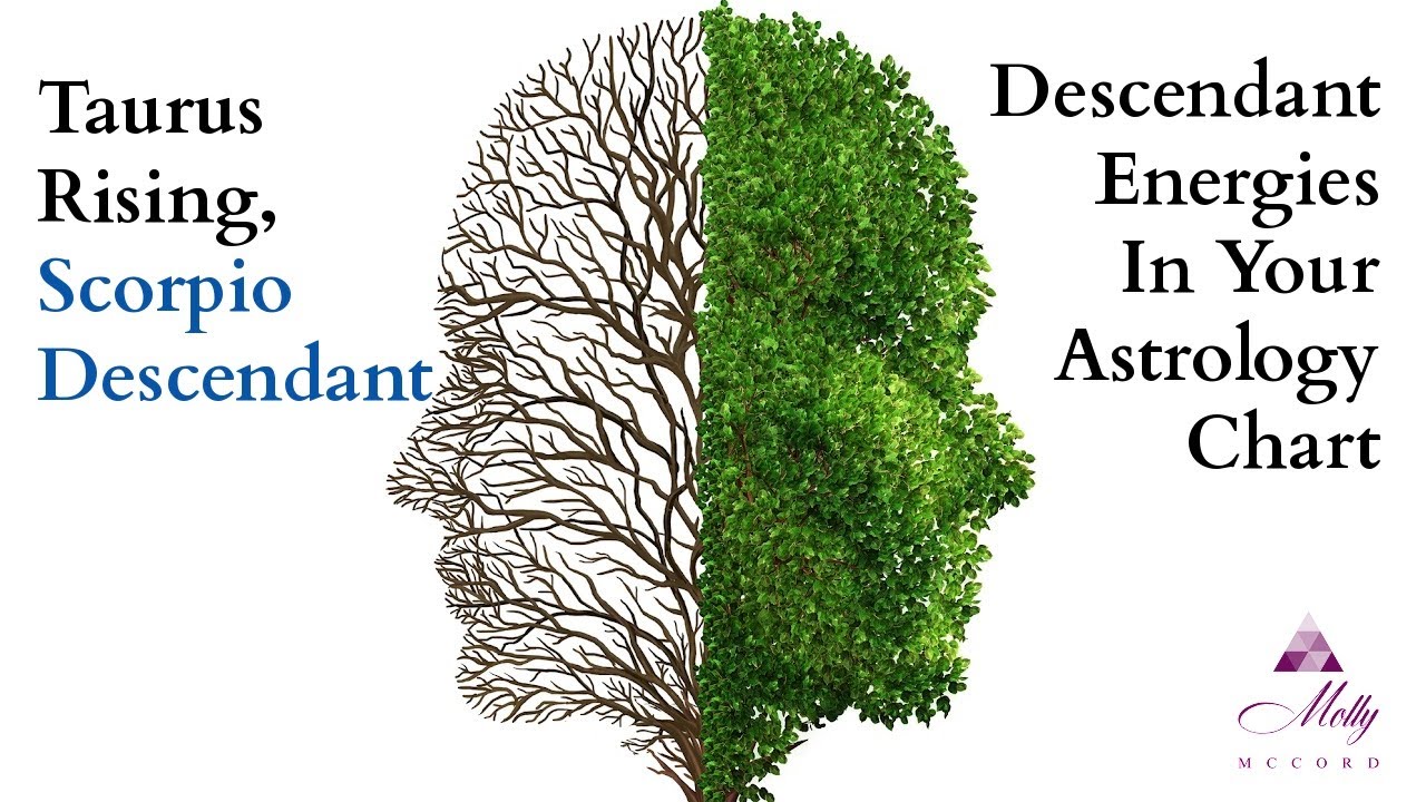 A Deeper Look at Your Scorpio Descendant - Taurus Rising - Astrology