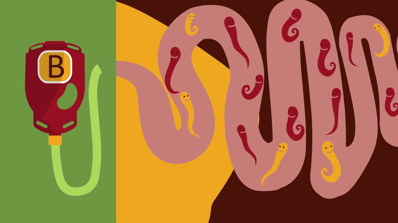 War of the Worms