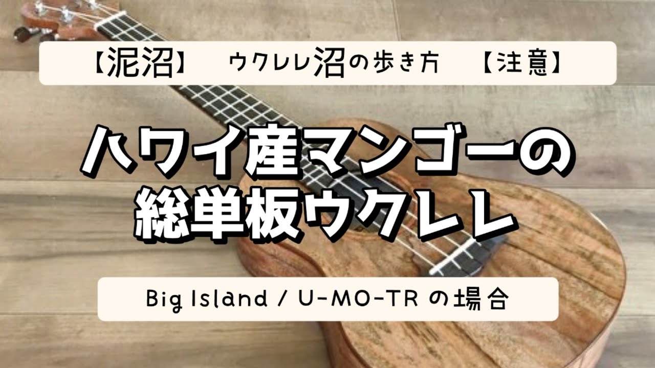【ウクレレ沼の歩き方】マンゴー材ならではのエキゾチック感がたまらない「BIG ISLAND U-MO-TR」を紹介しちゃいます