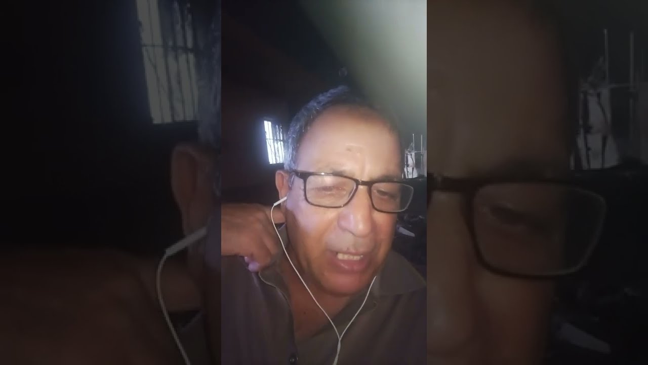 سلسلة تربية الدجاج اللاحم من اليوم الأول الى مرحلة التسويق #2