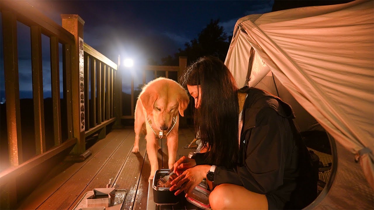 [306] Свиные ножки и пиво в горах | Кемпинг с золотистым ретривером