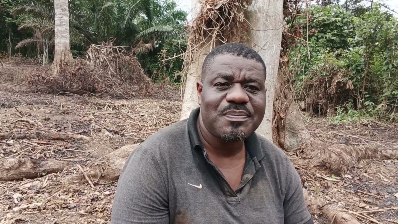 L'agriculture au Gabon 