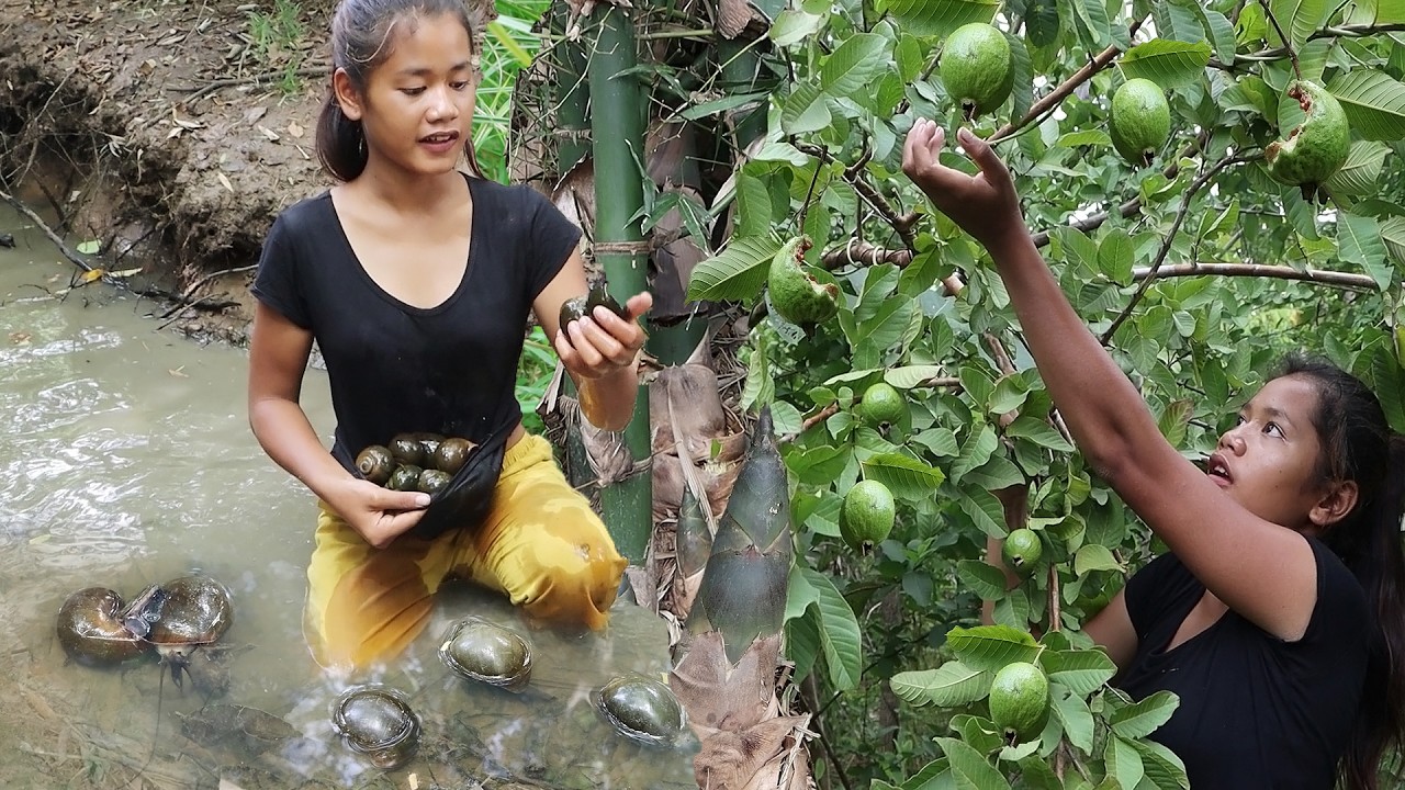 Survival skills: Snail spicy curry for food of survival, Found Guava fruit & Bamboo shoot for dinner