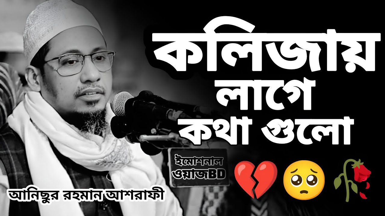 কলিজায় লা গে কথা গুলো 💔🥺🥀আনিছুর রহমান আশরাফী | Anisur Rahman_Ashrafi | New_ Emotional_Waz_2026
