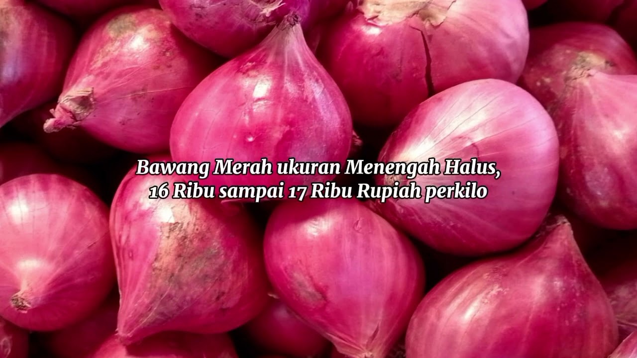 Info dari pasar agropolitan aie luluak, sungai nanam