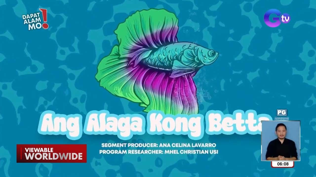 Betta fish, paano ginawang negosyo ng isang 20-anyos na lalaki? | Dapat Alam Mo!