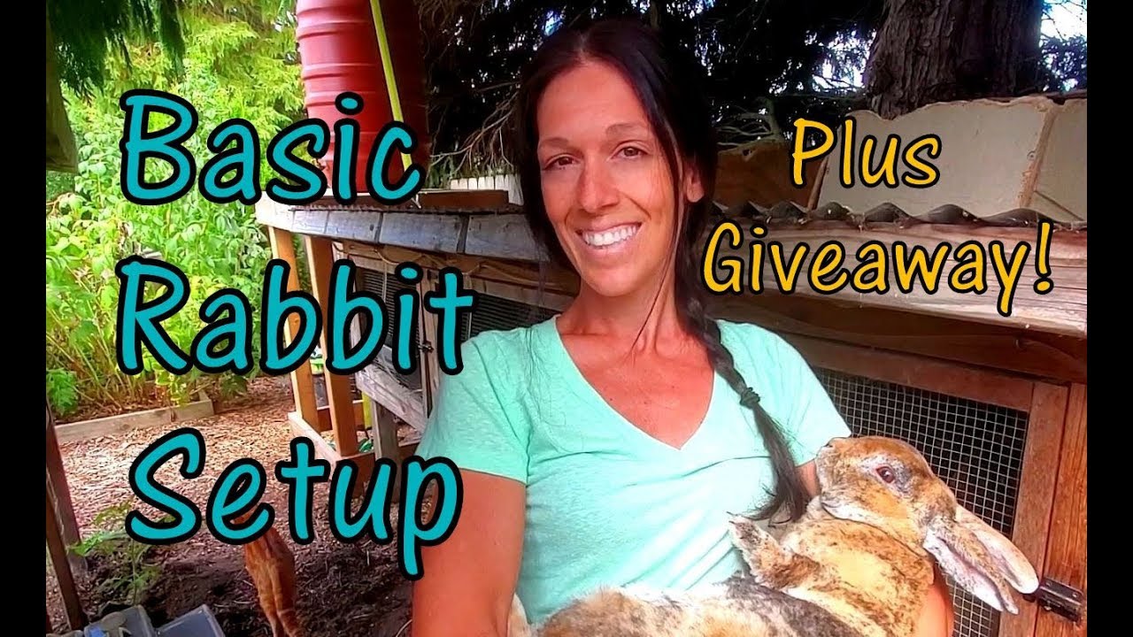 Raising Meat Rabbits - Getting Started - Basic Setup