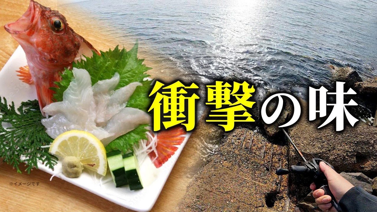 【穴釣り】釣った魚を刺身にしたら…人生で一番うまかった