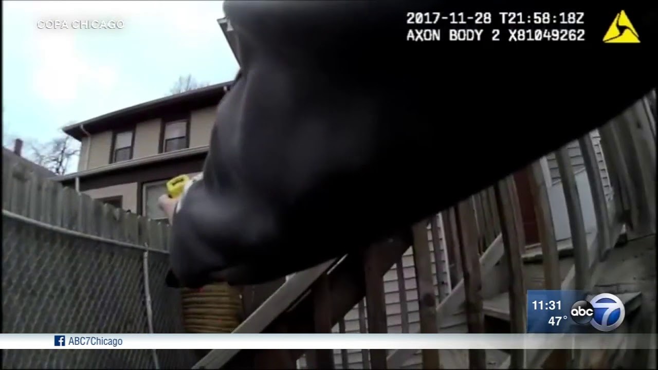 Video shows CPD use Taser on man