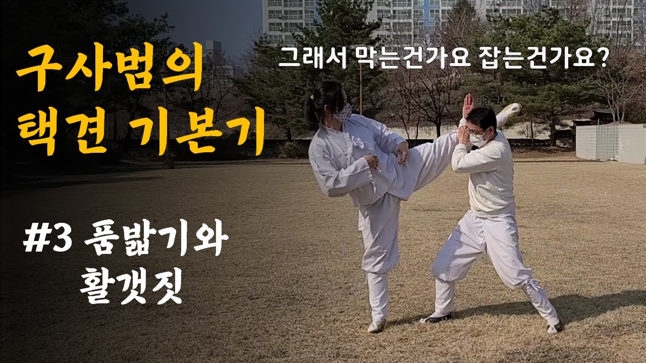 택견 기본기 배우기 #3 품밟기와 활갯짓 쓰임수 및 훈련 [Training Taekkyeon Basic step with hand]