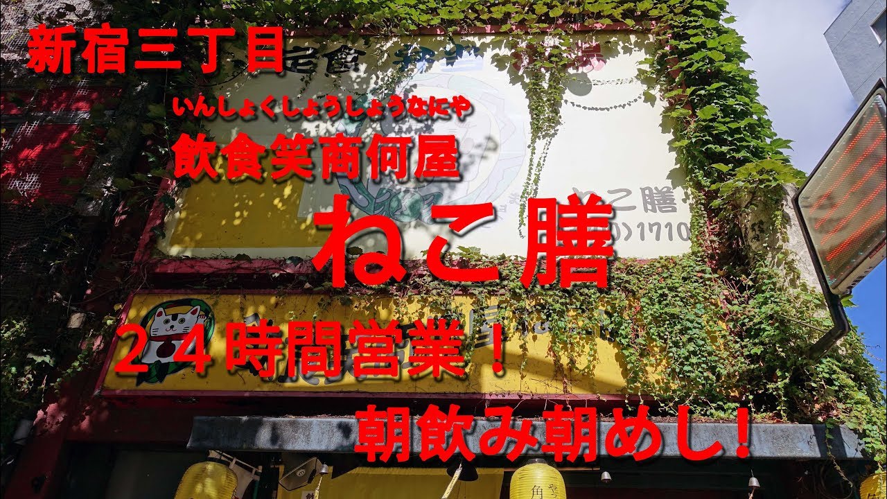 新宿三丁目【ねこ膳】２４時間営業の居酒屋兼定食屋で朝飲み朝めし！【せんべろ】Drinking and Eating in Morning at NEKOZEN in Shinjuku-3chome.