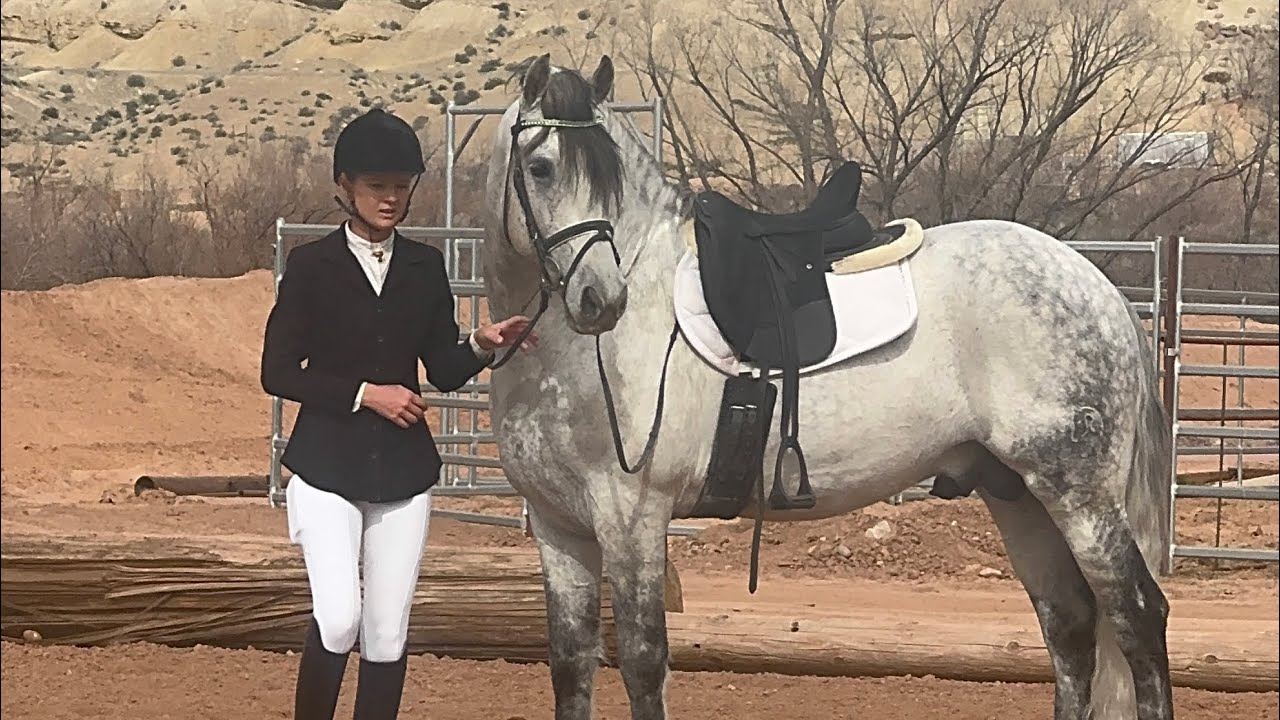 Valienté first dressage show 