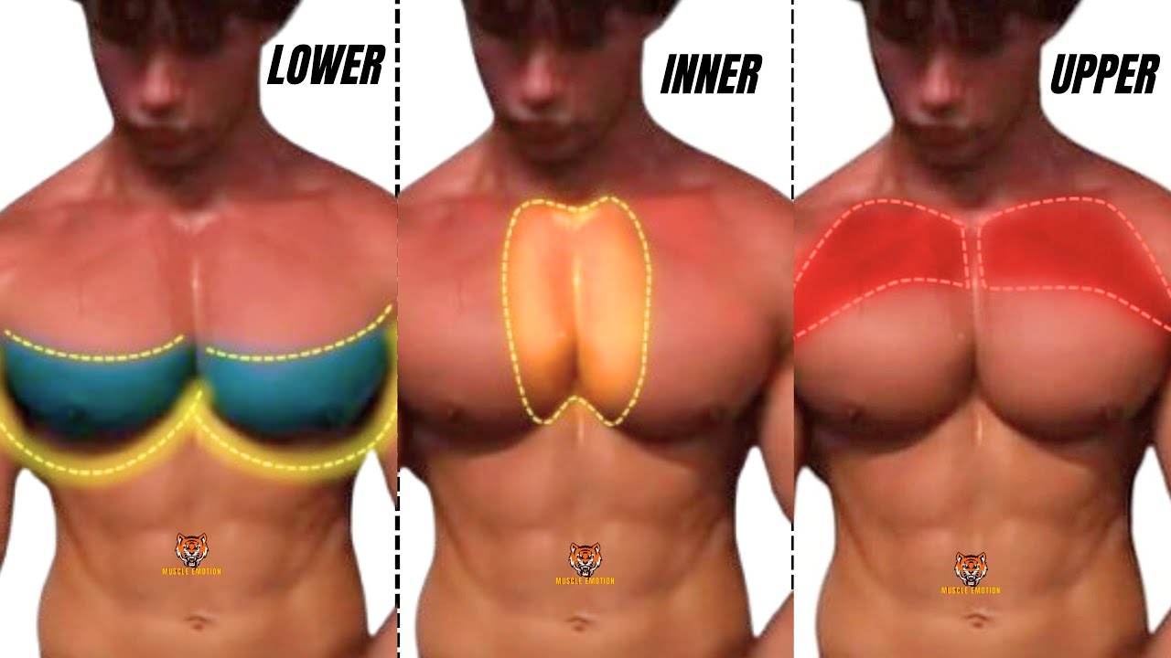 TOP 4 INNER, LOWER AND UPPER CHEST WORKOUT  WITH DUMBBELLS BARBELL CABLE AND MACHINE  AT  GYM