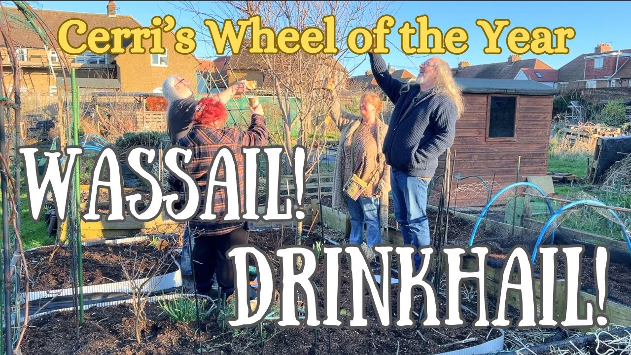 Wassail!, Drinkhail!!