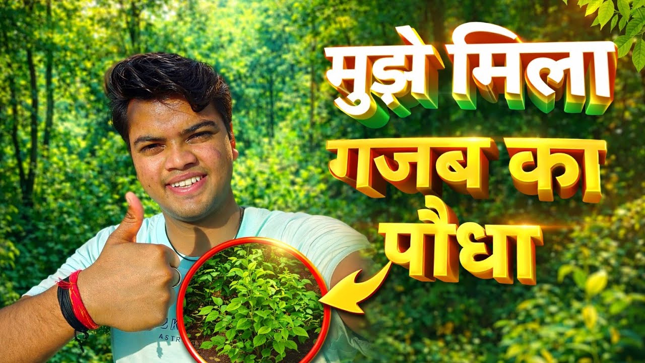 Day 15 | Exploring Amazing Plants 🌿 | Mujhe Mila Gazab Ka Podha 😲 | Daily Vlog India