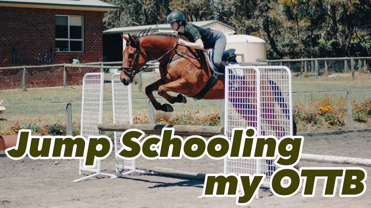 HORSE LEARNS GRIDWORK // OTTB Jump Schooling Vlog