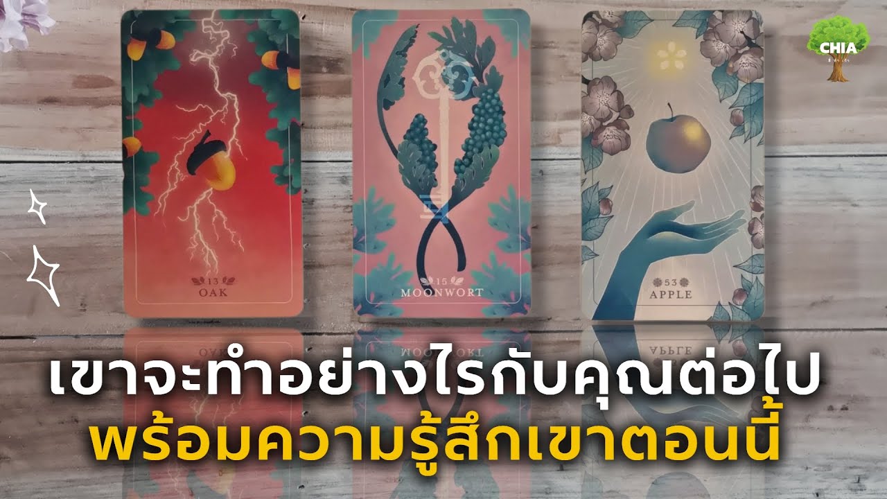 Pick a card เขาจะทำอย่างไรกับคุณต่อไป พร้อมความรู้สึกเขาตอนนี้