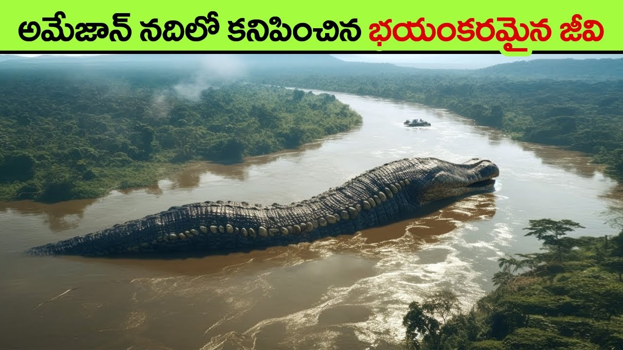 Amazing Sea Creatures You've Never Seen Before | facts in telugu | scary deep sea creatures