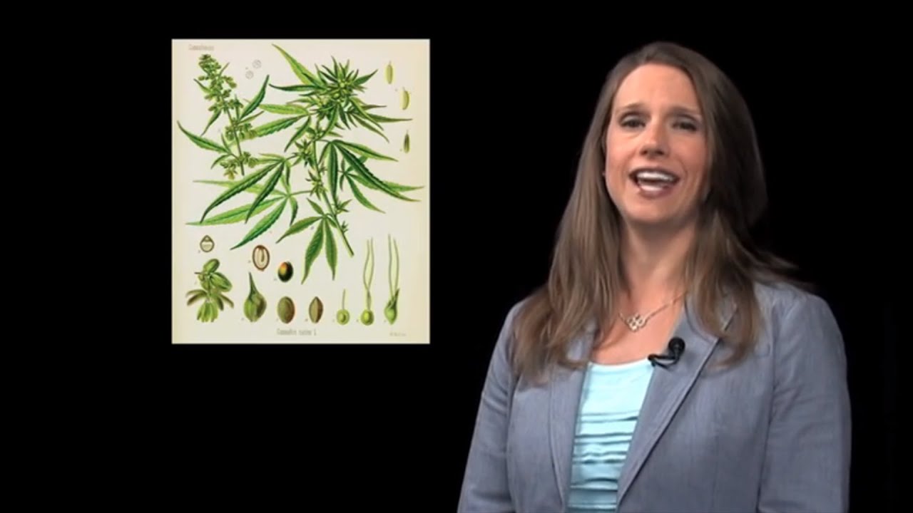 3 Remarkable Healing Components Found in Marijuana