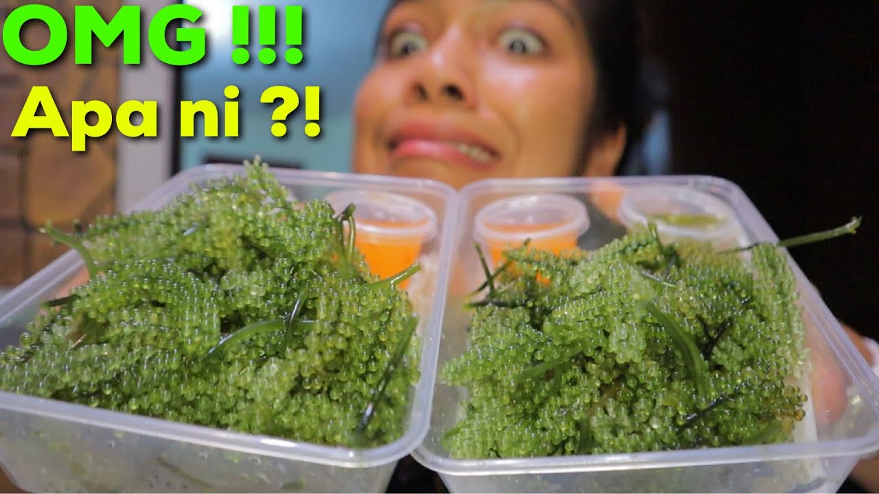 First time aku makan latok ?! makanan apa ni 😰😭 | ASMR | sea grape