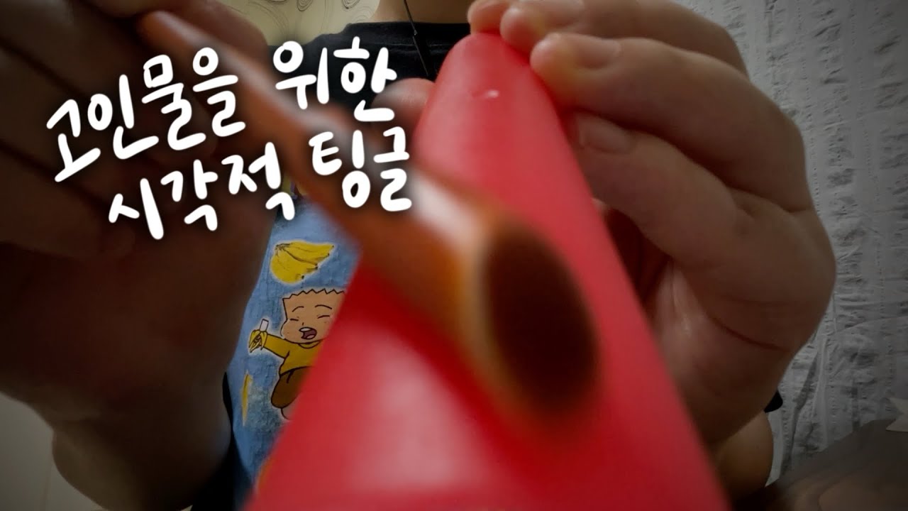 ASMR 큰거왔다... (시각적 팅글, 카메라 터칭, visual triggers, camera touching)
