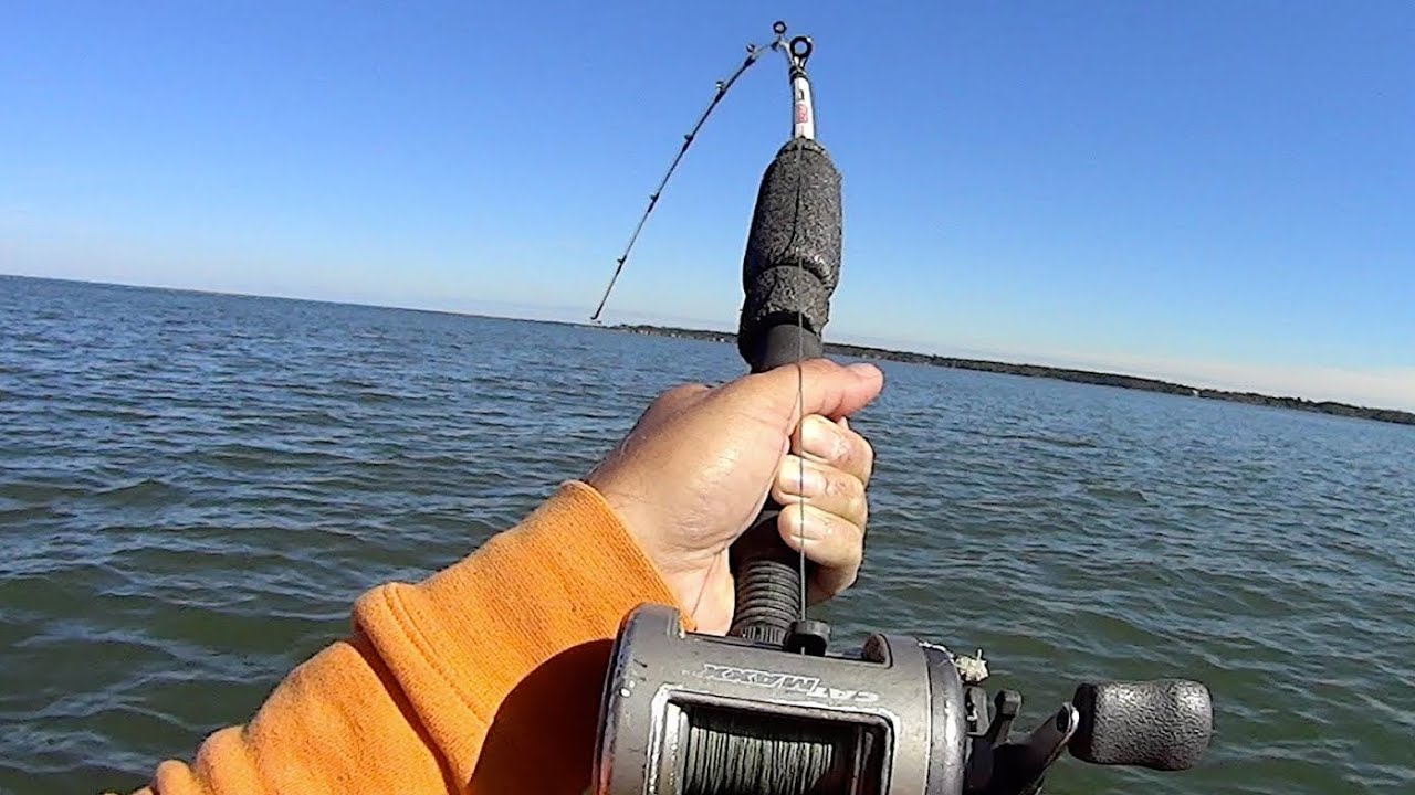Catching BIG Catfish on Santee Cooper