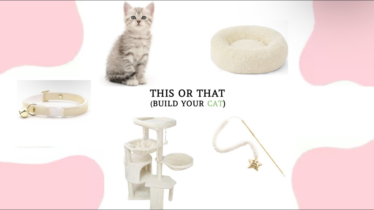 🐱∘*•This or that!! 🩶 (Build your cat)!! •*∘★🫧