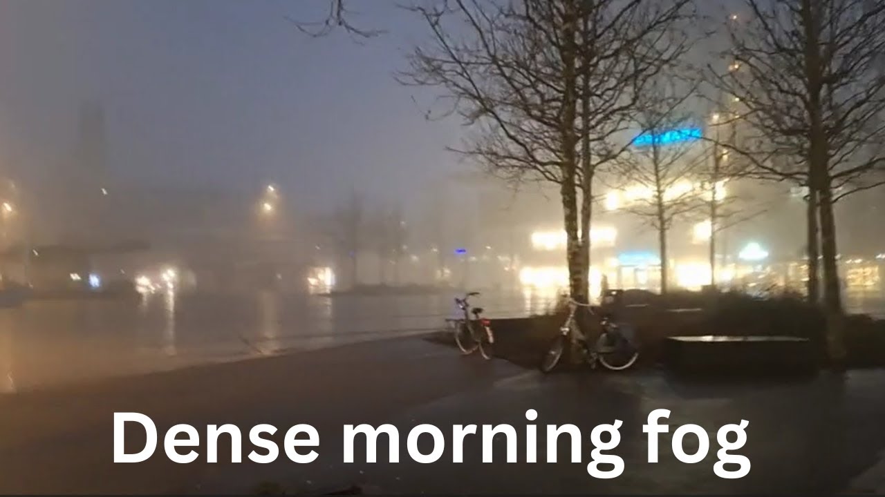Winter morning Weather | શિયાળાની સવાર | Dense morning fog