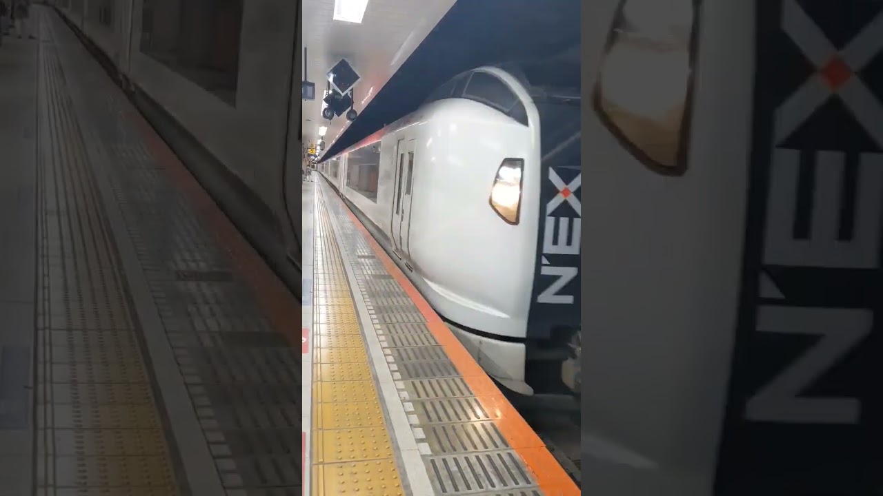 N'EX, limited express train in Japan