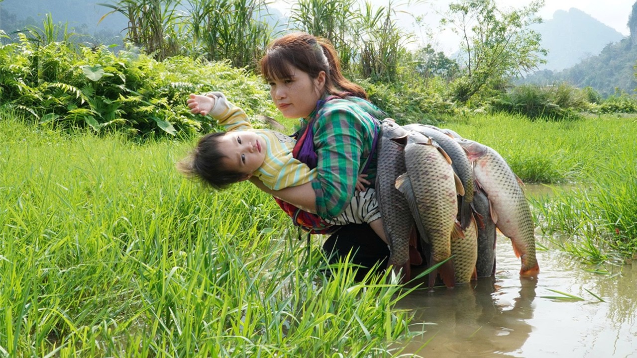 How to catch giant fish: Clever girl catches big fish using homemade trap -   go to market to sell