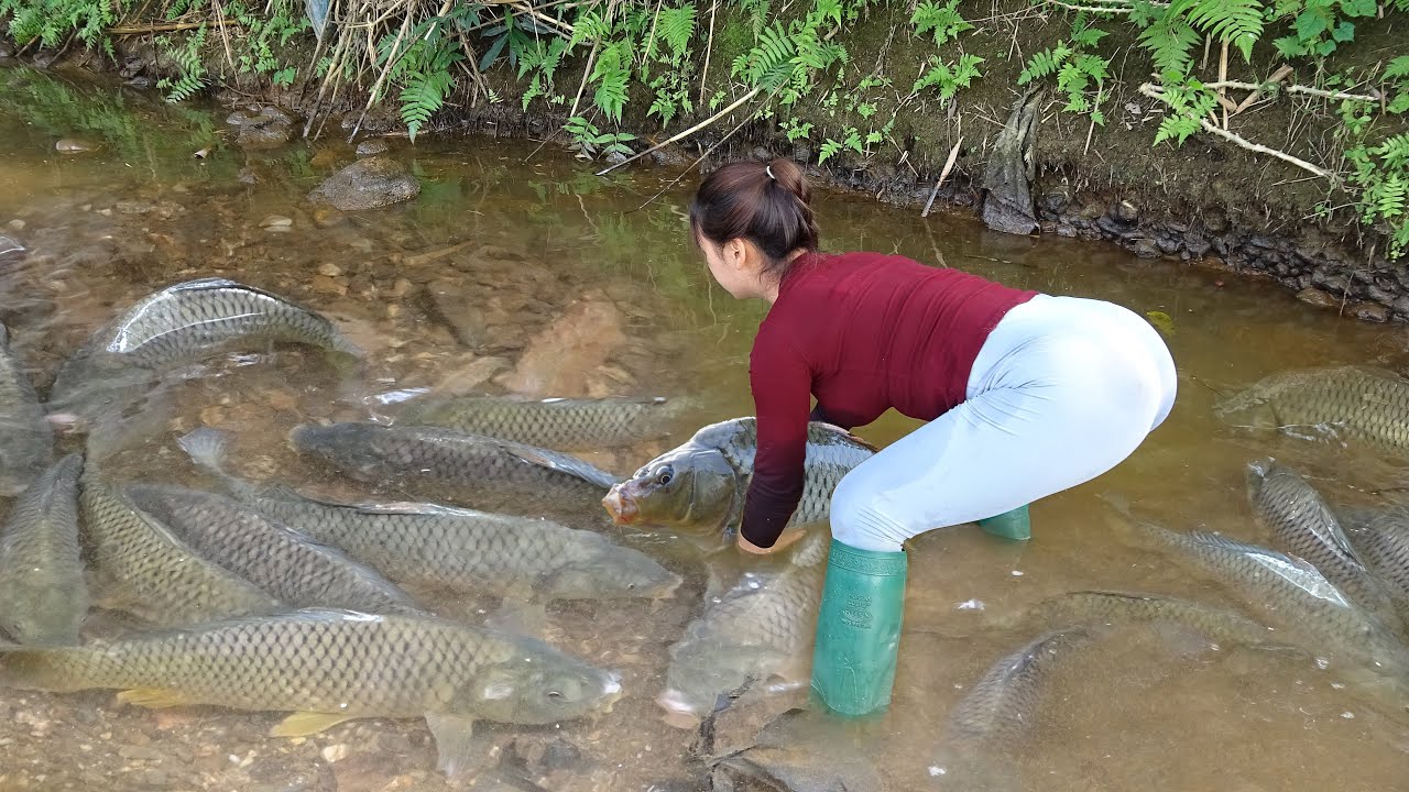 Use a Pump To Suck Water Out The Lake, They Were Surprised To Find Many Big Fish In Abandoned Lake