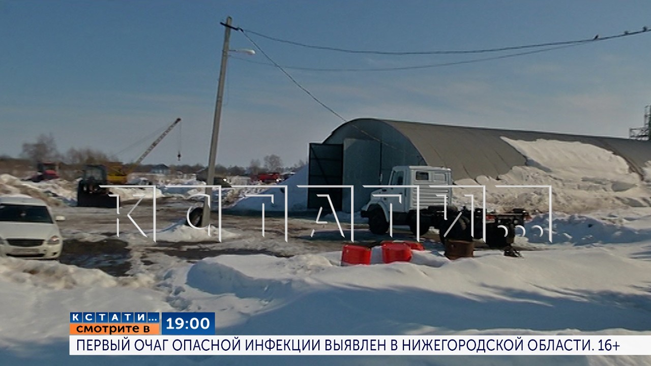 Сегодня в 19.00 в программе &laquo;Кстати&raquo;: Первый очаг опасной инфекции выявлен в Нижегородской области
