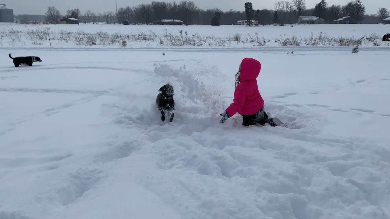 south carolina, snowstorm, hockey, the works