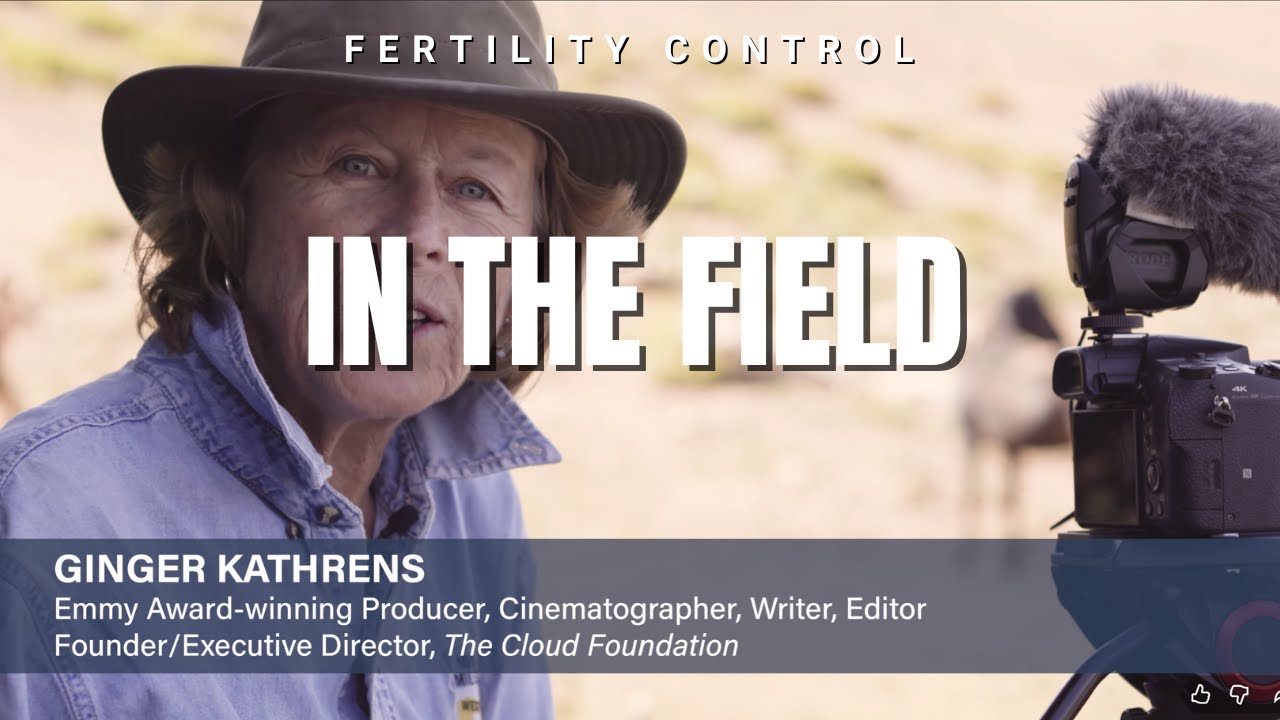 In the Field with Ginger Kathrens