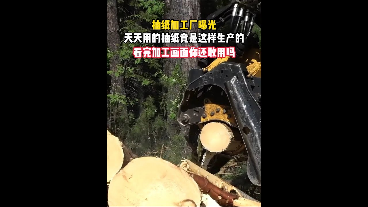 科普 #科普一下 #加工过程 #抽纸 #纸巾