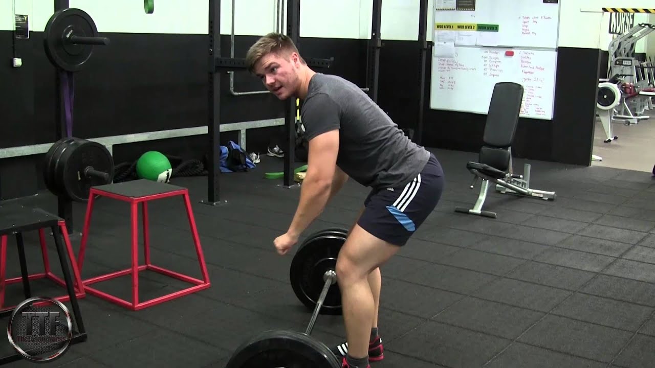 Langhantel Rudern Ausführung | Technik Tutorial