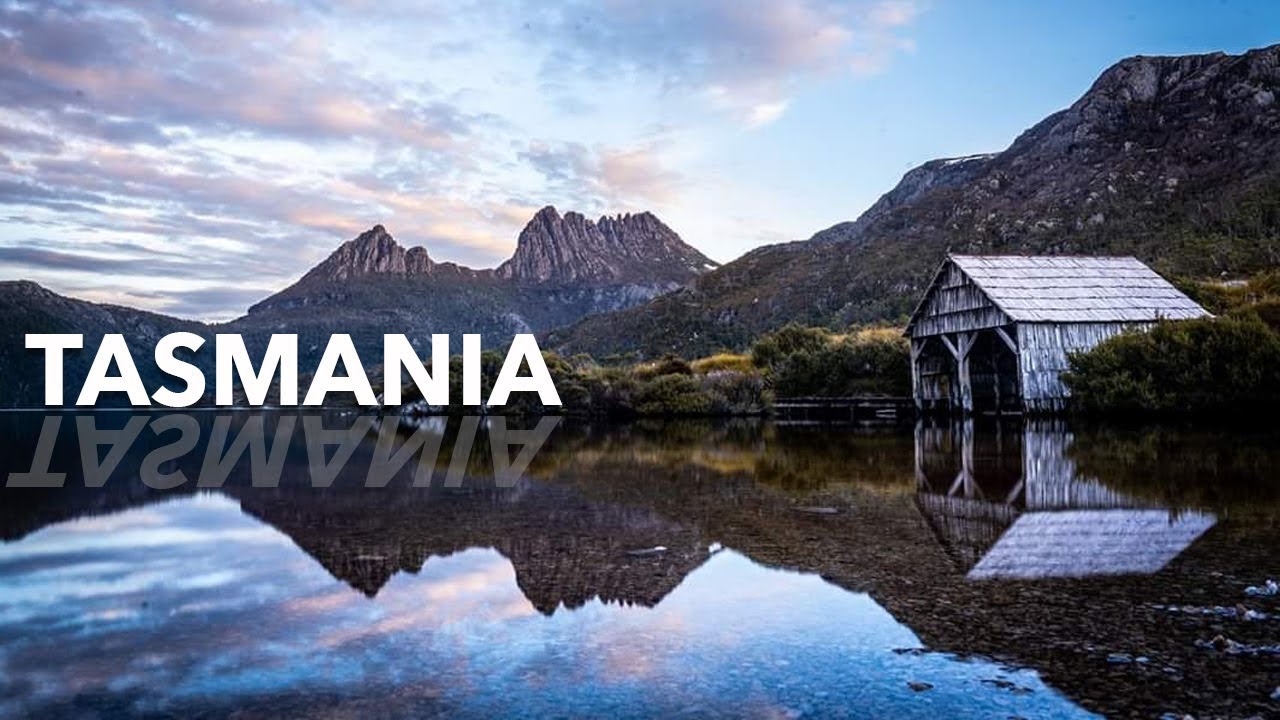 DISCOVER TASMANIA | Best Island On Earth!