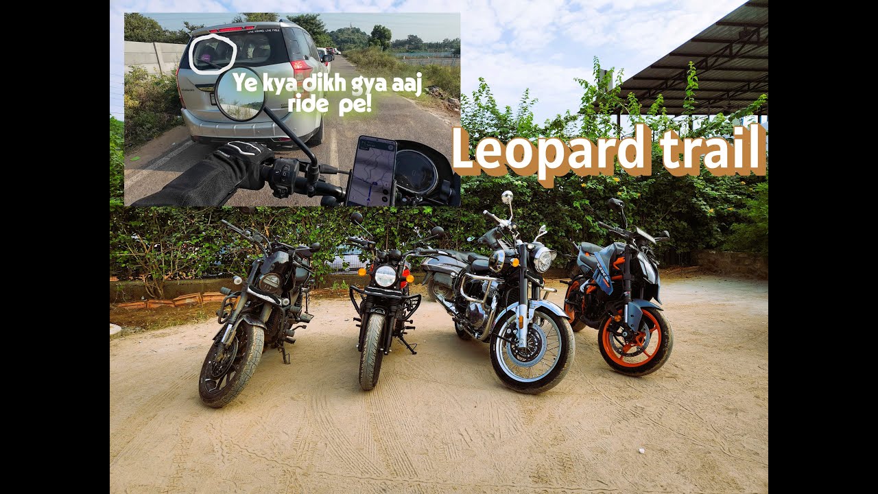 Leopard Trail |  Gurgaon | Morning Ride
